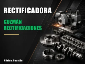 Guzmán Rectificaciones
