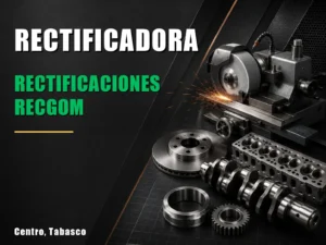 Rectificaciones RECGOM